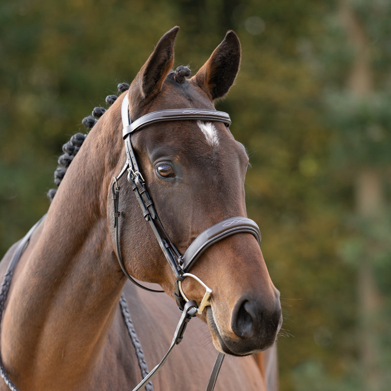 Kavalkade Benita Hunter Bridle