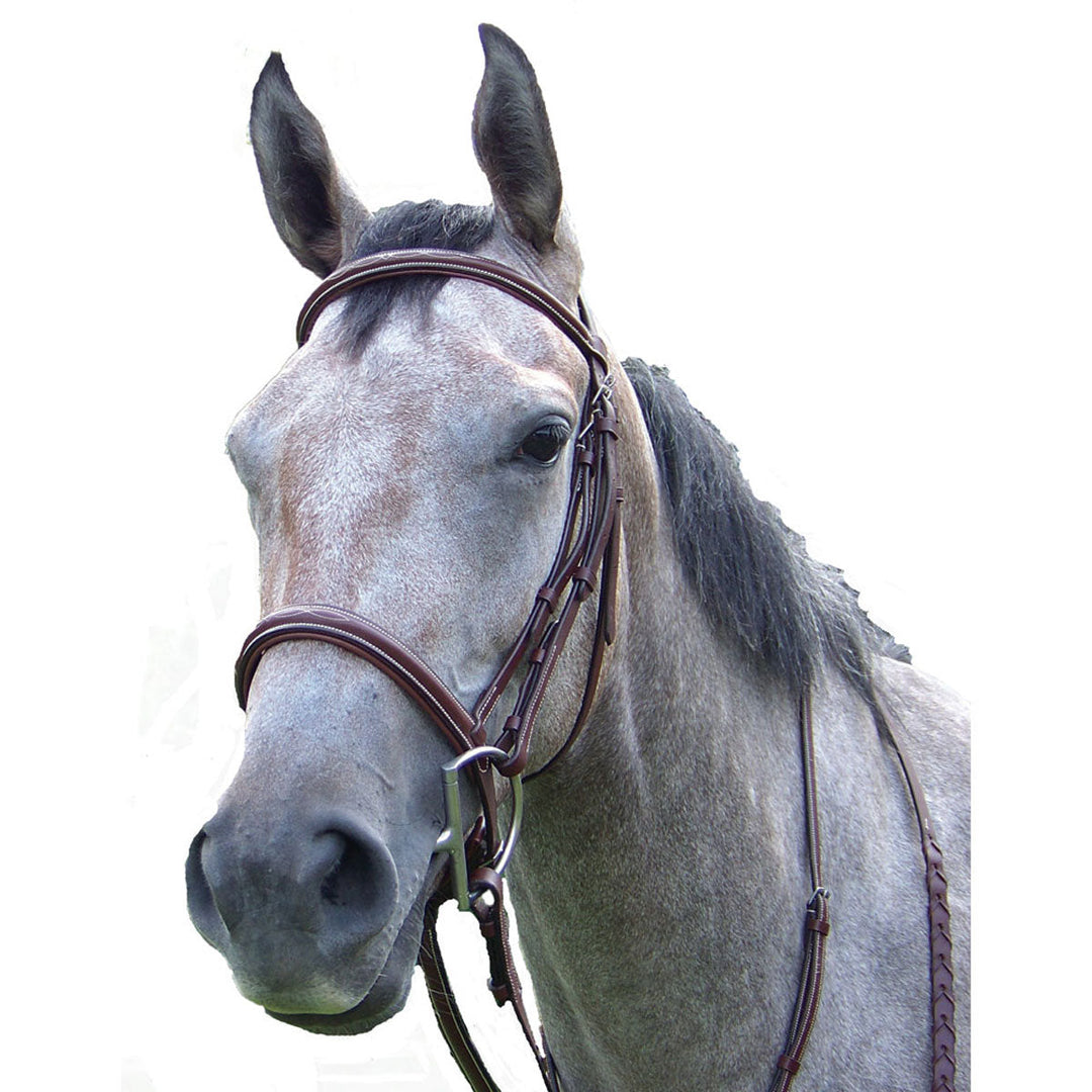 Intrepid International Pro-Trainer Silver Fancy Raised Padded Bridle - Brown