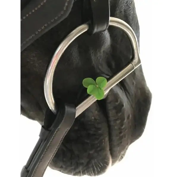 Horse Hollow Press - Horse Greeting Card Blank Inside - Four Leaf Clover