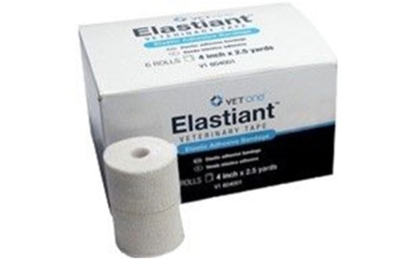 Elastiant Elastic Tape 3" x 2.5yds