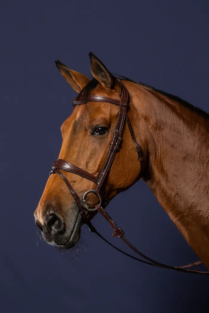 Dy'on Anatomic Flash Noseband Bridle New English