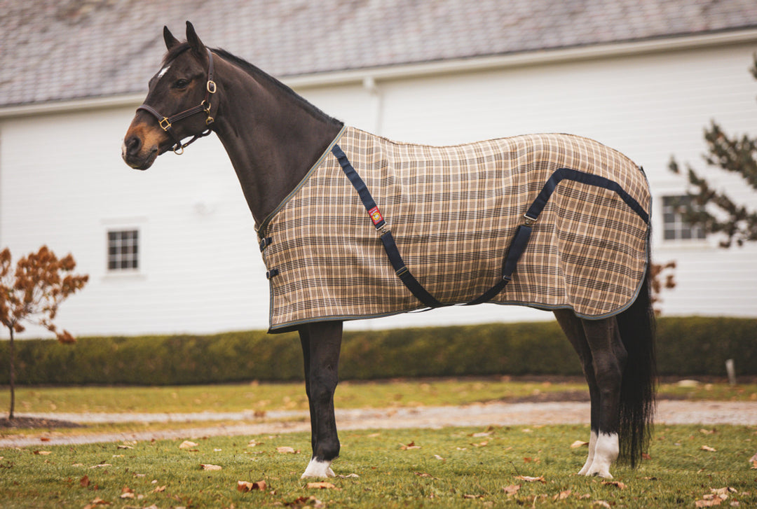 Baker Indoor Stable Sheet, Lite Weight