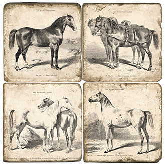 Studio Vertu "Horse Study" Coaster set of 4