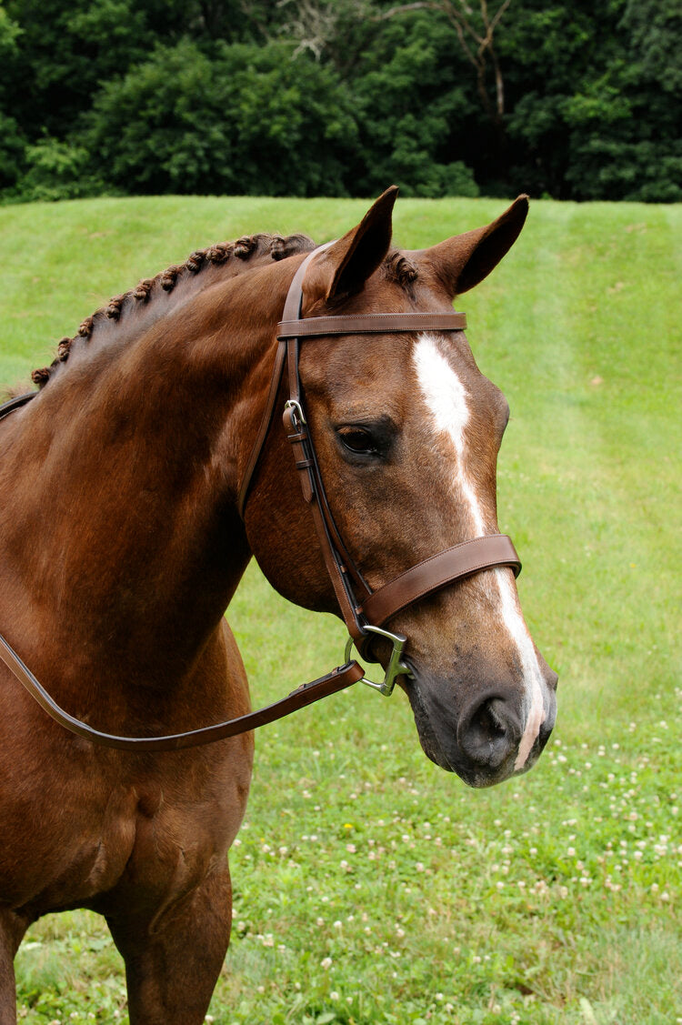 ADT Fox Hunt Bridle w/ Rubber Reins