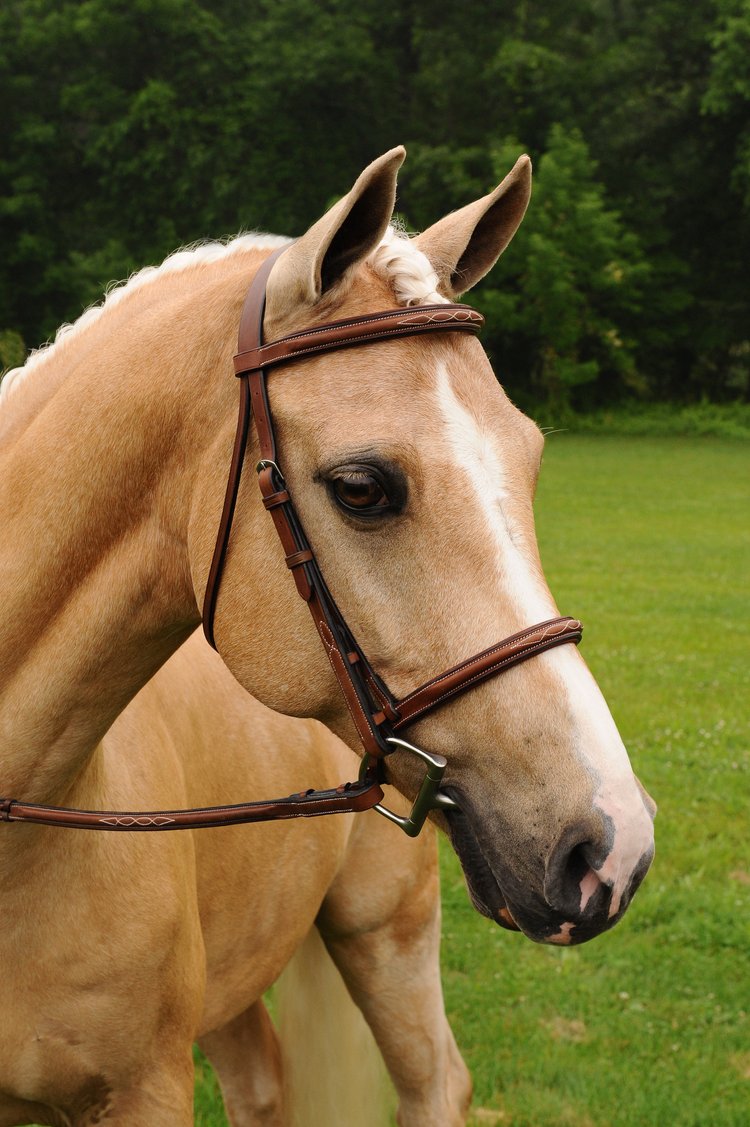 ADT Imperial Bridle w/ Laced Reins - Fancy