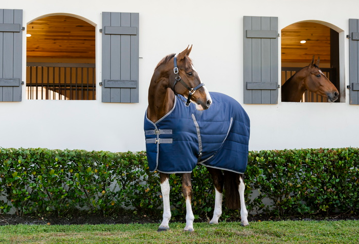 Rambo Stable Blanket 200g - Embossed Lining