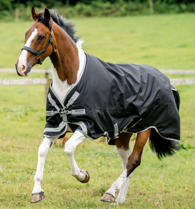 Amigo Bravo 12 Pony 0g Lite Turnout Blanket