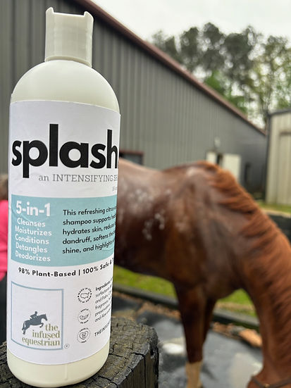 Infused Equestrian Splash Intensifying Shampoo