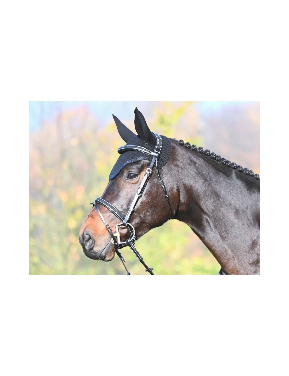 Jump'in One Carat Bridle