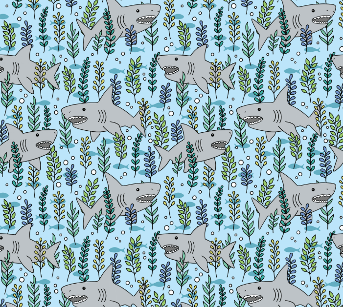 Dreamers & Schemers Jawsome Youth Pair & a Spare Socks