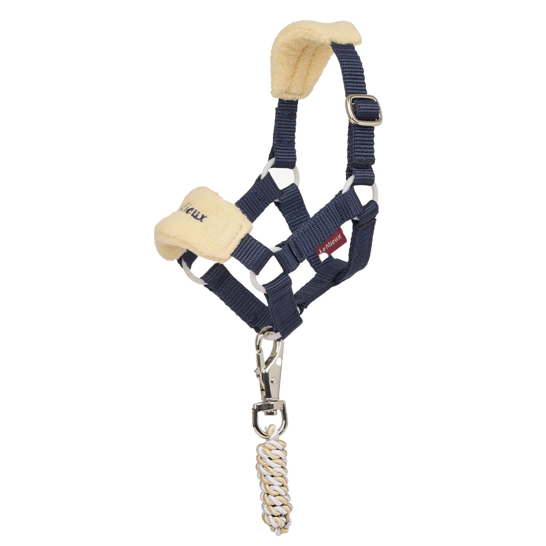 LeMieux Toy Pony Lemon Vogue Halter