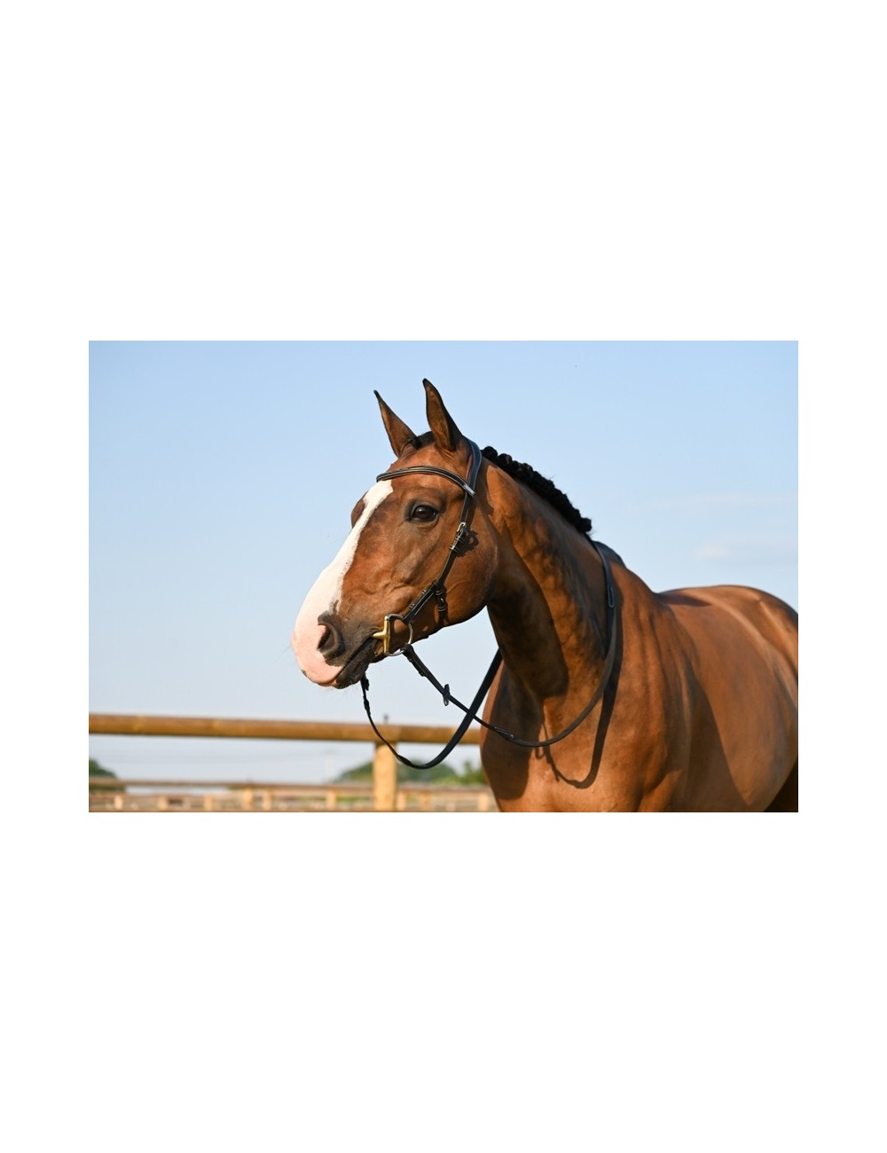 Jump'in One Liberty Bridle
