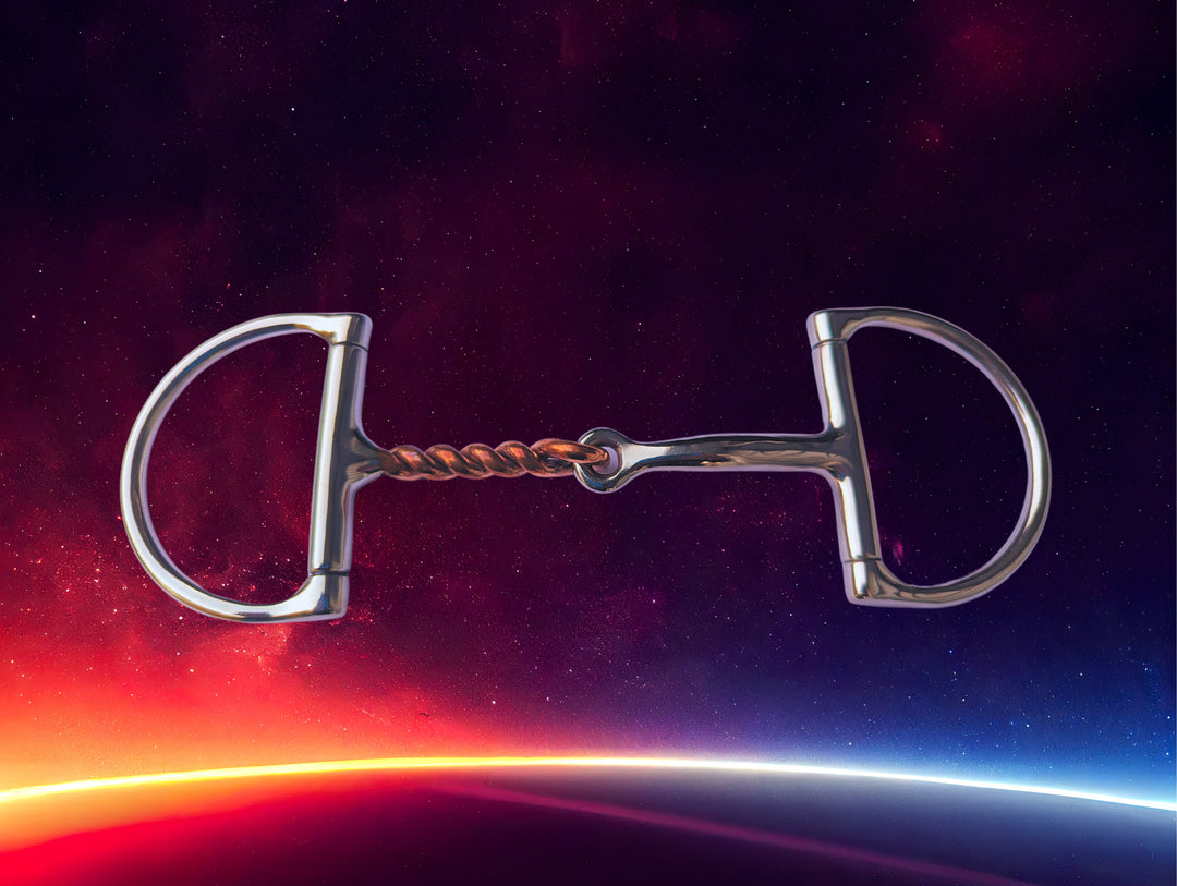 Pandaponyium Power Steering D-Ring Bit