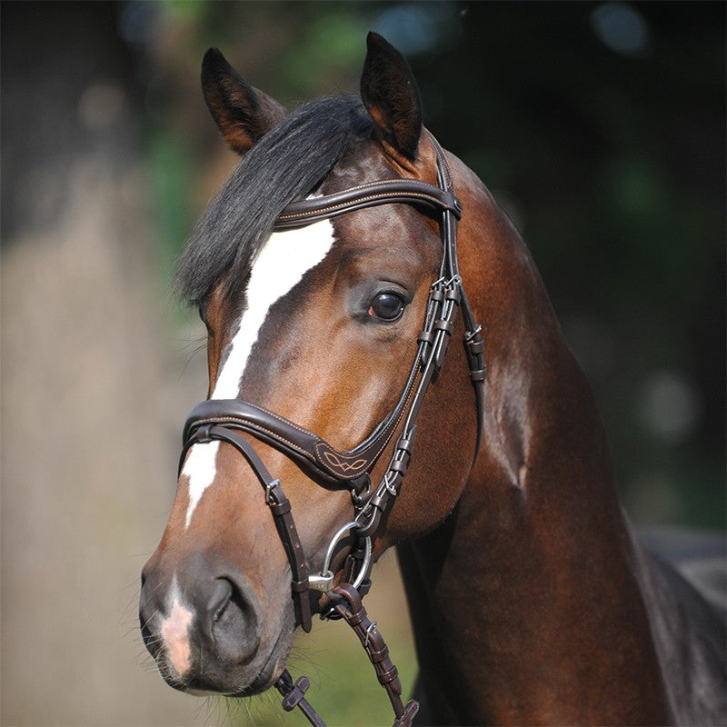 Kavalkade Ivy Bridle