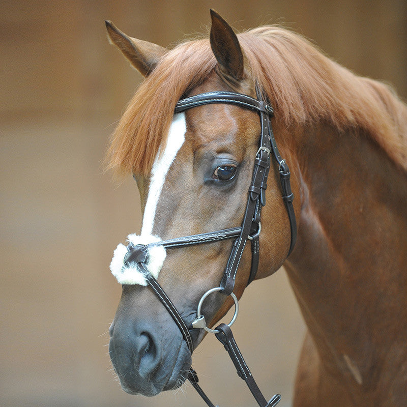 Kavalkade Diandro Figure 8 Bridle