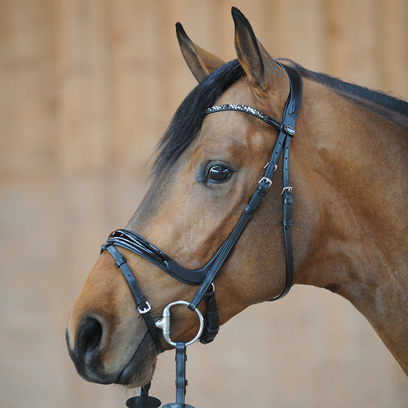 Kavalkade Ivana Dressage Bridle