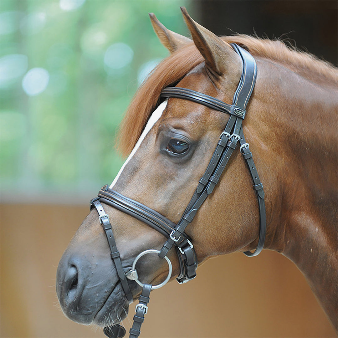 Kavalkade "Filip" Bridle w/Crank Noseband