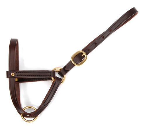 Central Kentucky Figure 8 Foal Halter