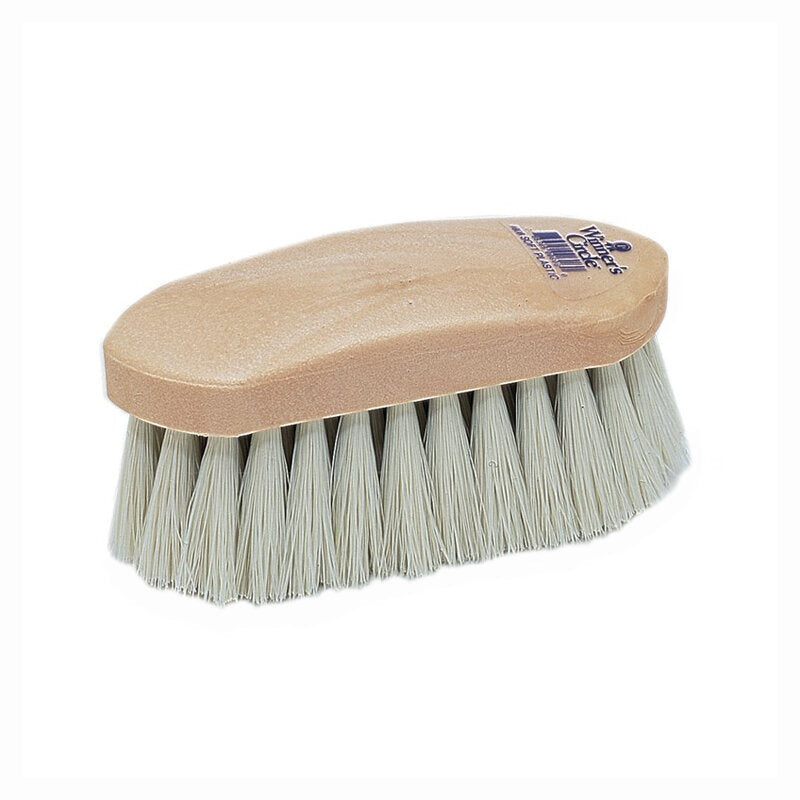 Champion Dandy Brush - Ivory Polypropylene - 808