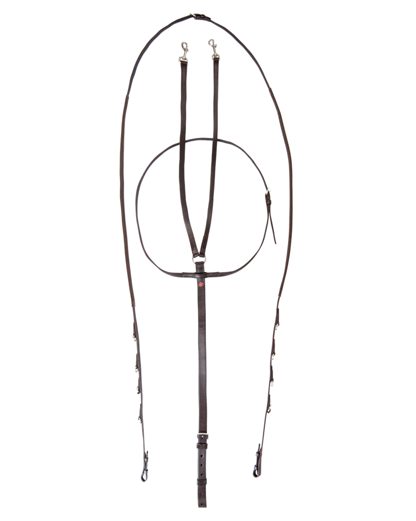 Walsh German Olympic Martingale