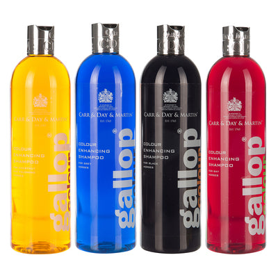 Carr Day & Martin Gallop Color Shampoo