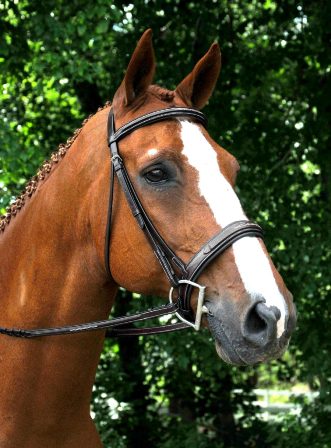 Red Barn Tryon Noseband