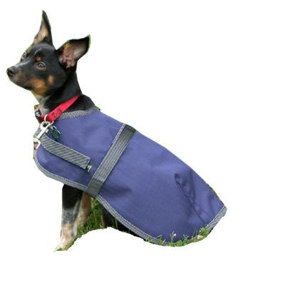 High Spirit Dog Rain Coat - The Tack Shop of Lexington - 3