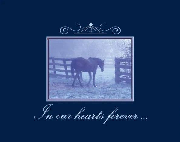 Horse Hollow Press - Sympathy Card: With Sympathy Horse Card