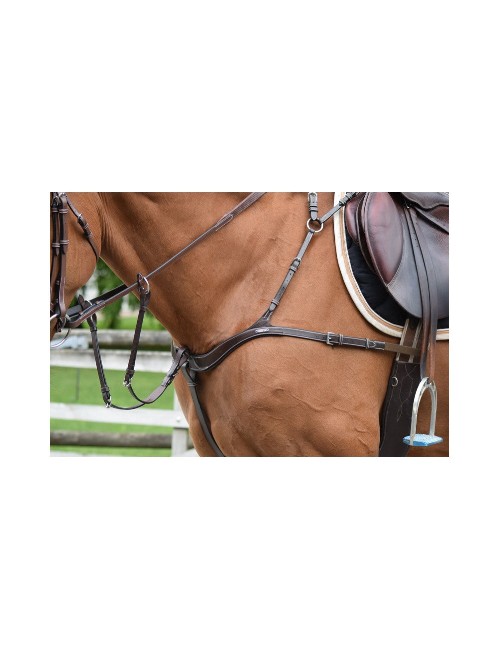 Jump'In - One 5 point Breastplate + Martingale