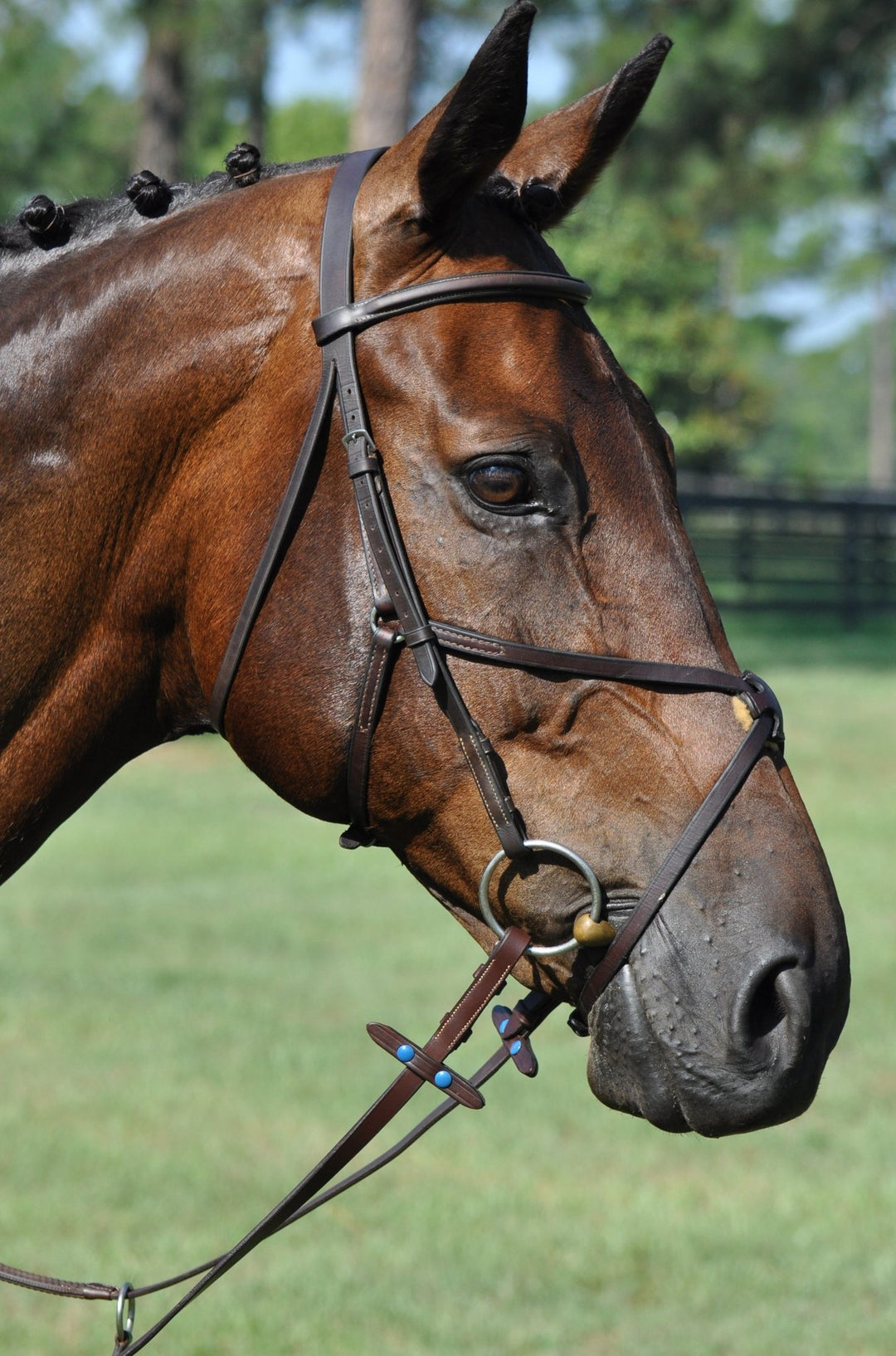 Koper Equine Easy-On Rein Stop