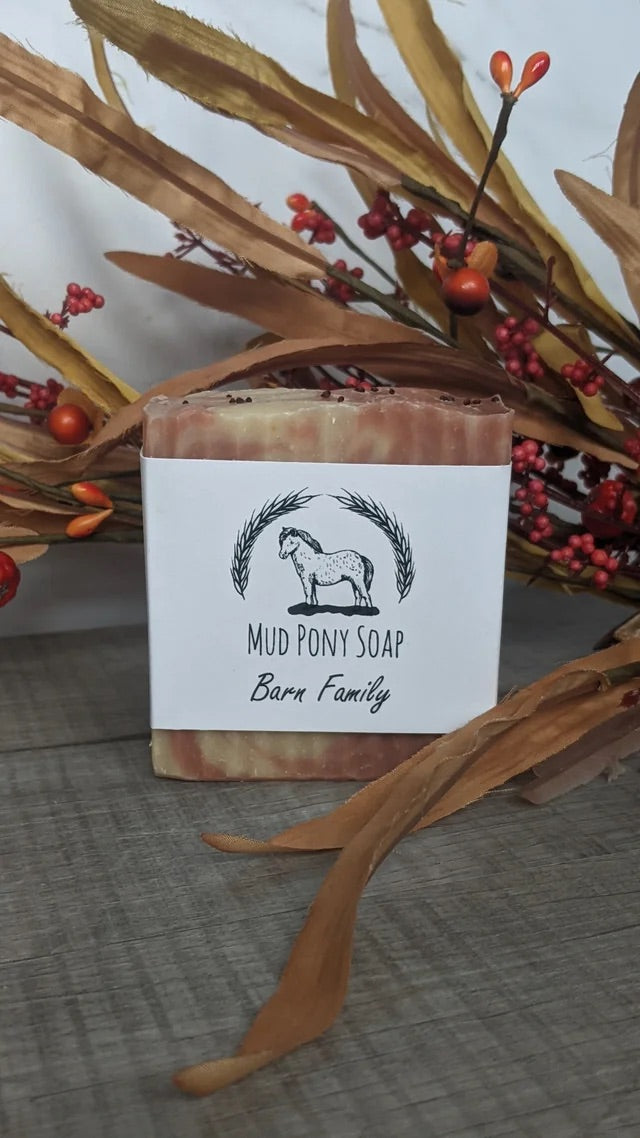 Mud Pony Soap - Barn Family