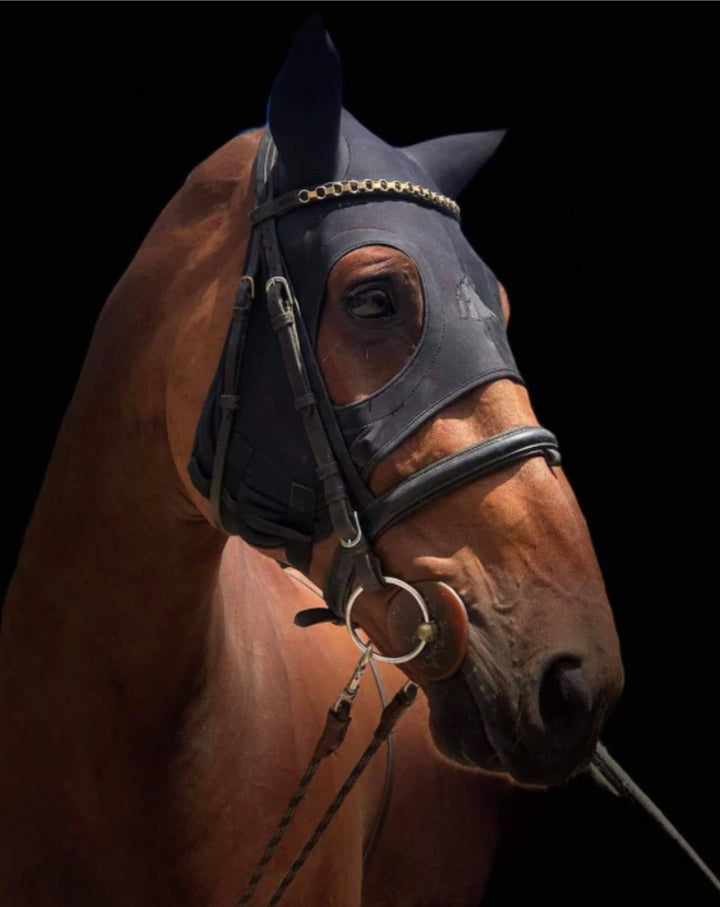 Fenwick Titanium Mask with Ears