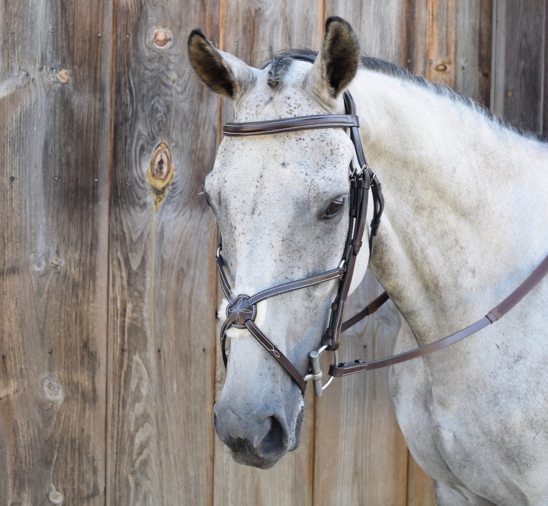 Black Oak Cedar Bridle w/ Figure Eight
