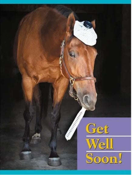 Get Well Card: Get Well Soon Horse Card
