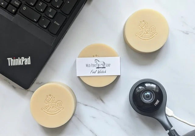 Mud Pony Soap - Foal Watch