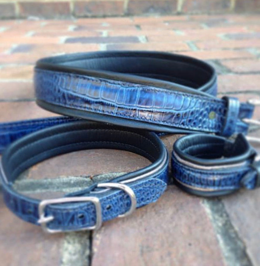 Enter At A Cavesson Collection Belt
