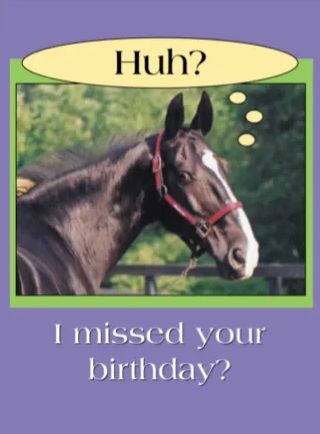 BELATED Birthday Card: Huh? I missed your birthday