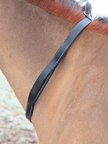 Tapestry Neck Strap