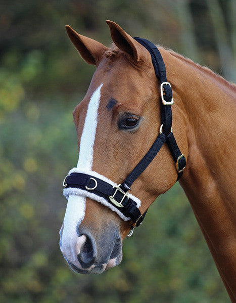 Shires Fleece Lined Lunge Cavason
