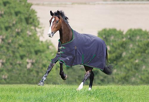 Shires Highlander Plus 200g Neck Cover