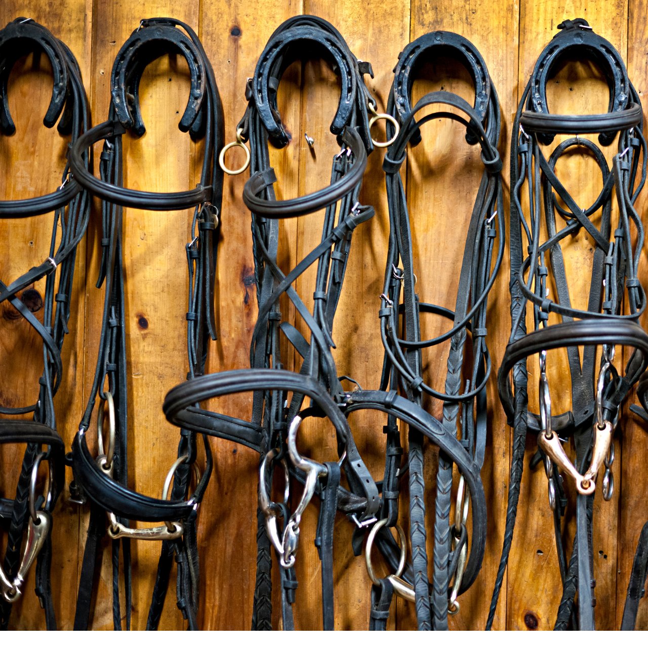 Bridles and Reins