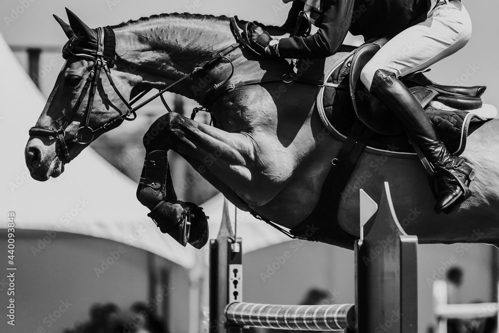 For the Horse Products