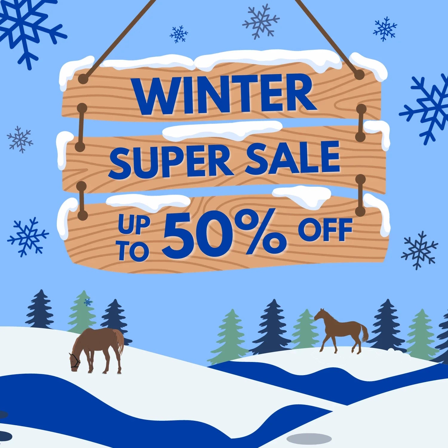 Winter Super Sale