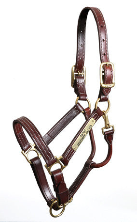 Halters and Leads