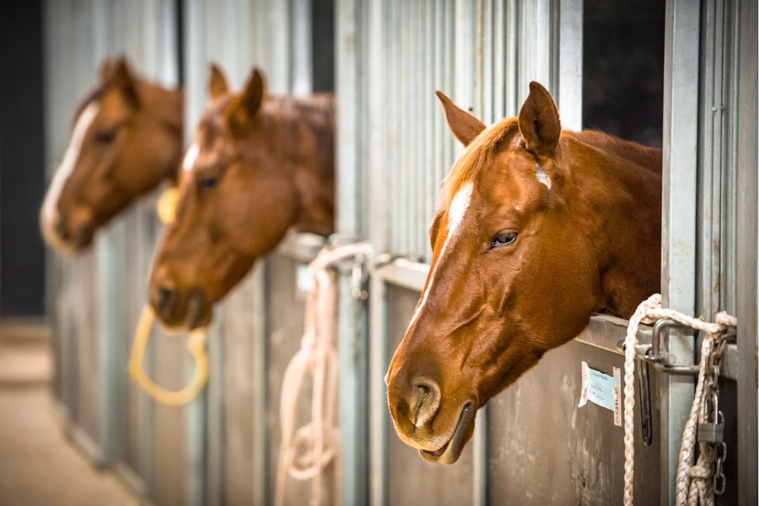 Stable Supplies