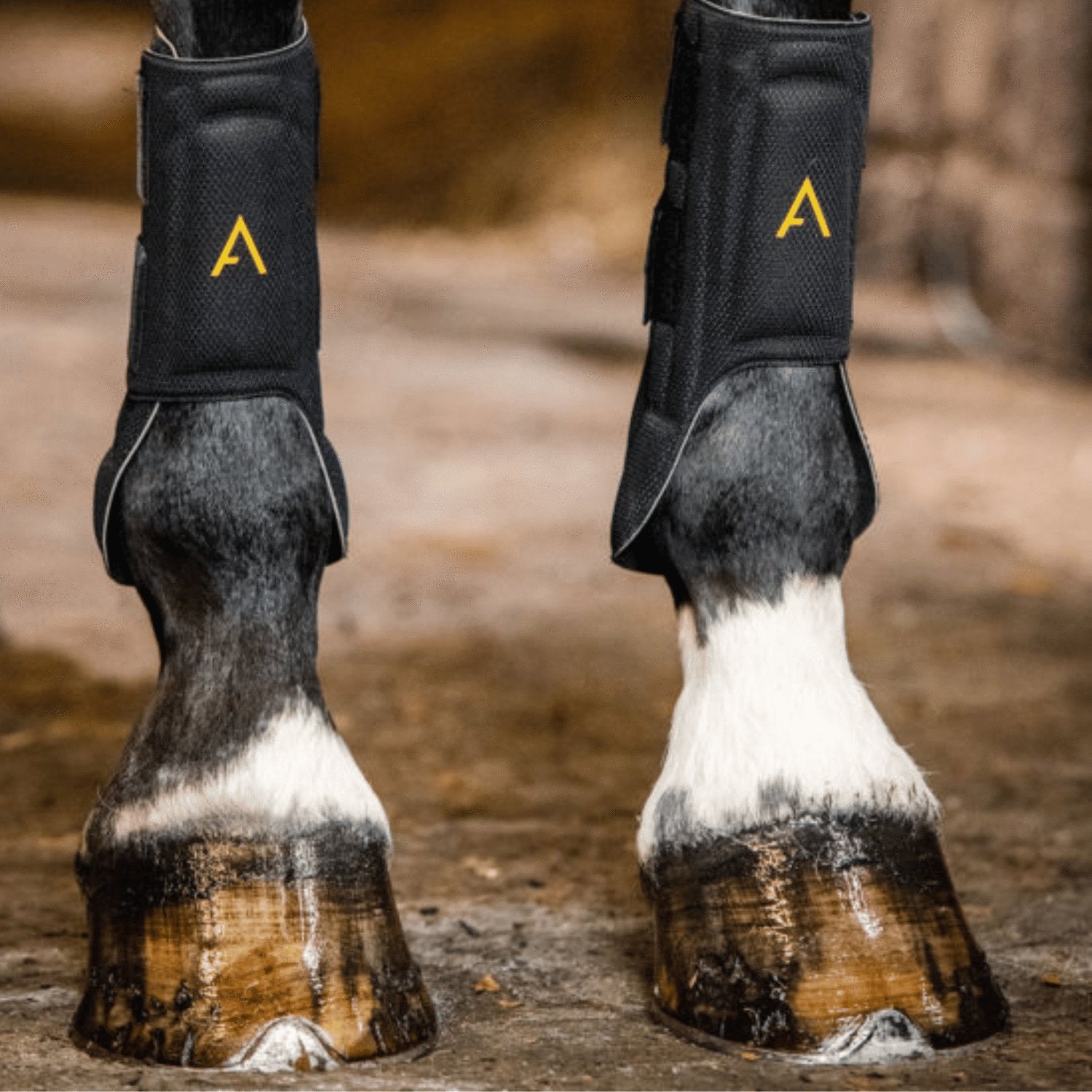 Horse Boots