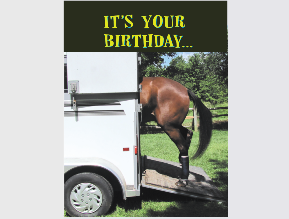 Horse Hollow Press - Horse Greeting Birthday Card / Get Loaded! / Funny