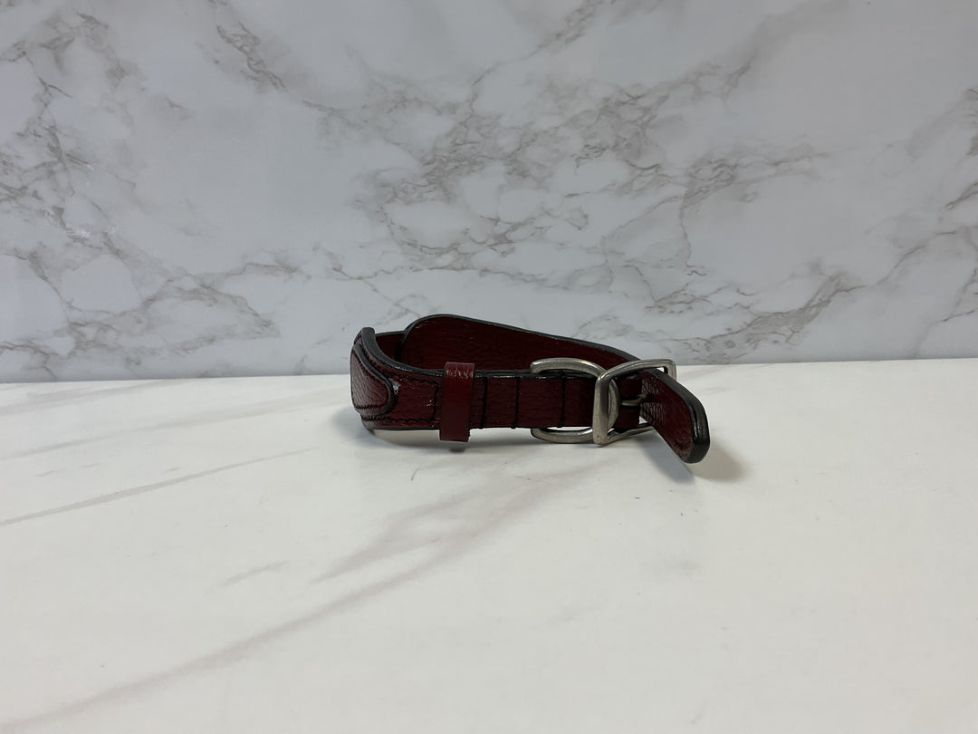 KL Select Shaped Dog Collar