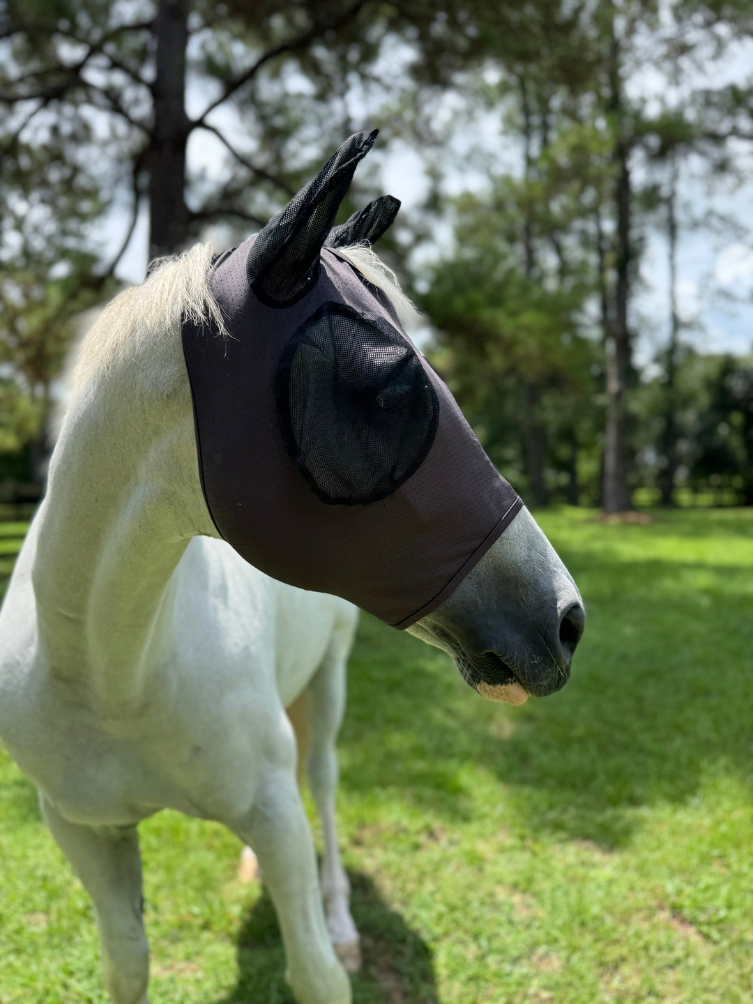 PRO4MANCE Com4rt Stretch Breathable Fly Mask