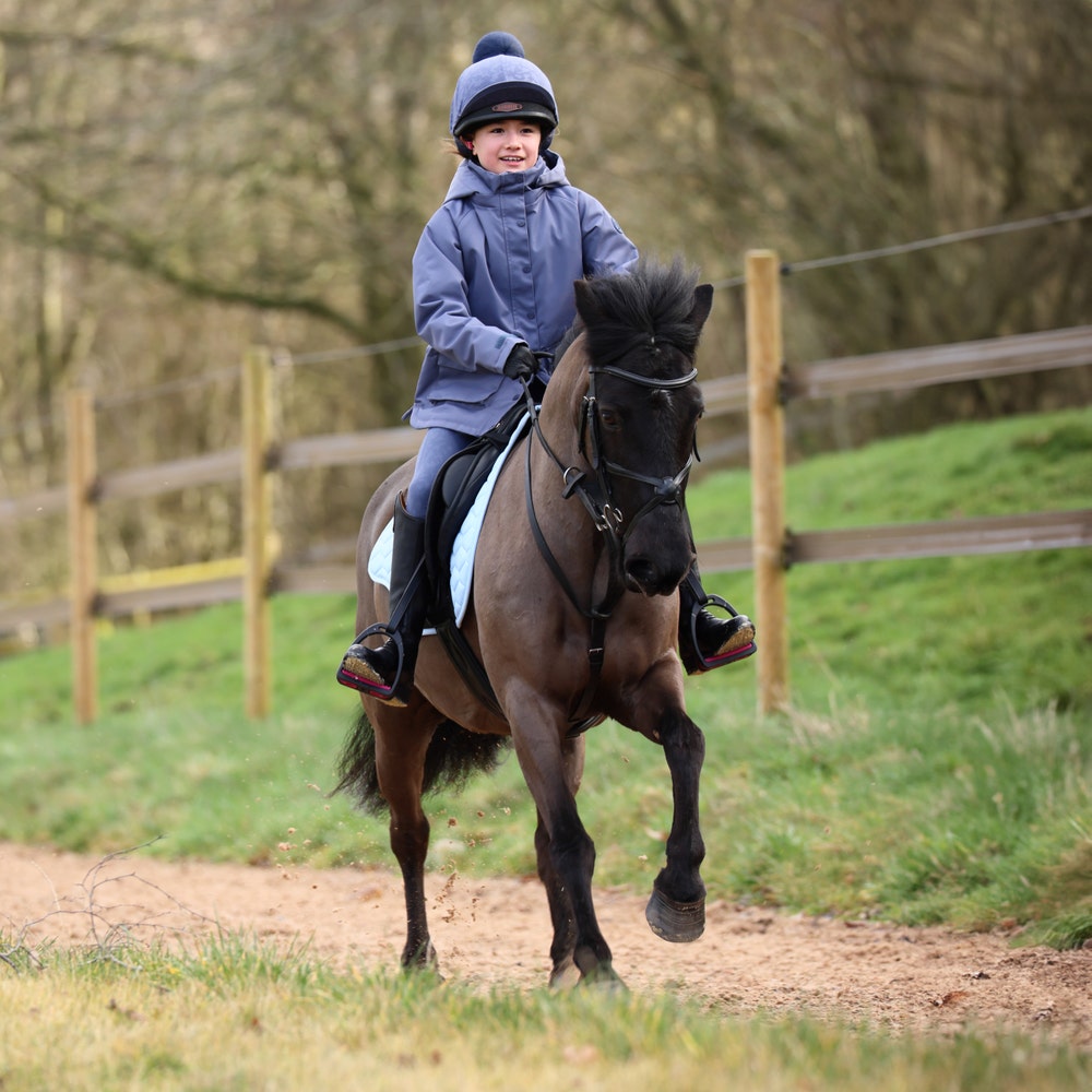 Aubrion Shield Riding Tights - Young Rider
